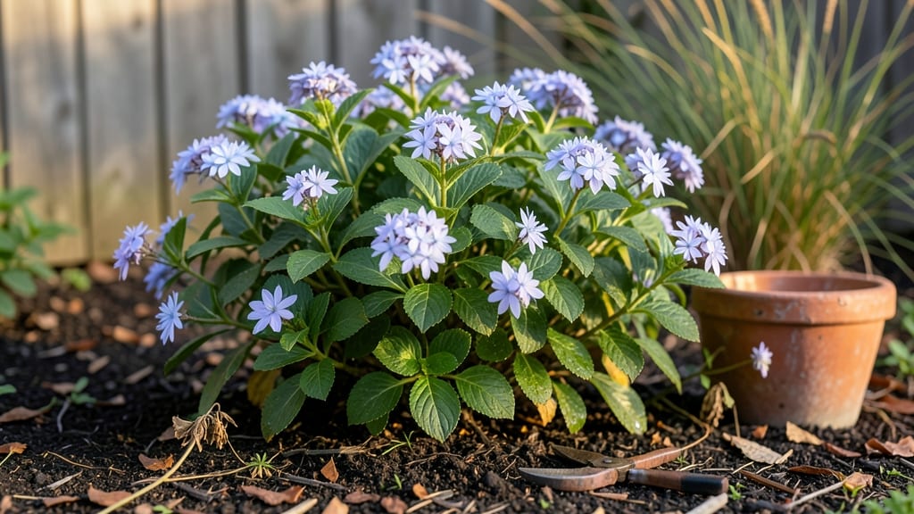 What Is the Smallest Hydrangea Variety: Compact Picks Under 2 Feet Tall